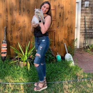 Meet your Posher, Cassidy